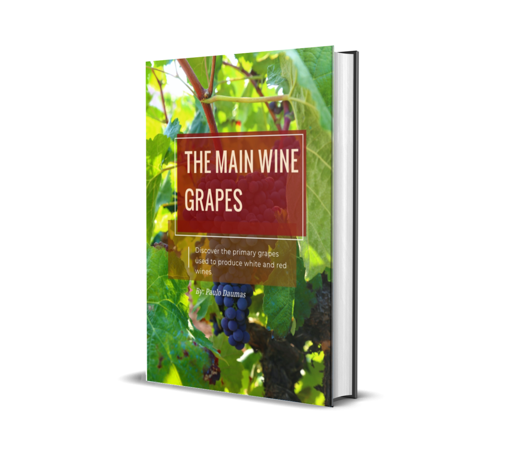the main wine grapes ebook