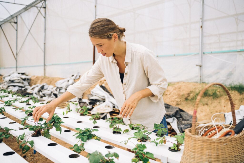 Hydroponic System